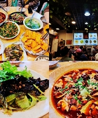 大坪坐无虚席的老馆子,味道很霸道