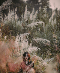 这次拍的芦苇粉黛情绪写真太绝了!朋友说我是暗夜“鲨手”