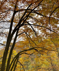 ˢɽʮ̶ֱײɽ˶ൽȰ