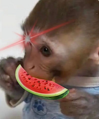 ������ֵ���� �������ϴ��Һ11.1��59��������˪29