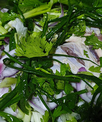 87170CMά޸飬ϣԷսƢ