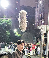 ����͢�������ڰ������ڻ�뵺��Ϸ