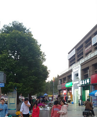 ��ѧ����������ô���ˣ�������Ҫ�����徻