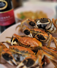 ��ϲ������������ɽ����