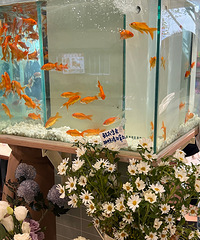 ��ĩȥ�������ܴ�������꣬����������պúÿ�