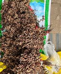 �����ɶ�Ӳˣ�������ĩ����г�������