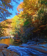 �ײ�ɽ������ʫ�续�����������ͯ������һ�㣡