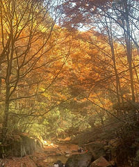 �ײ�ɽ������ʫ�续�����������ͯ������һ�㣡