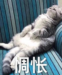 女友欠我钱不还,准备双十一买东西,我找她要是我计较吗?