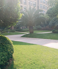 �������ϱ���������û�е��������������ˣ���ס�ʳ���90%����