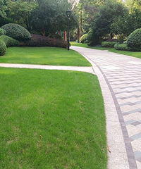 �������ϱ���������û�е��������������ˣ���ס�ʳ���90%����