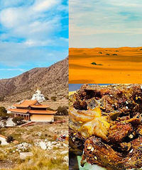 �����ϳԵ���������ԽɳĮ��������ֵ̫��