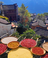 ��������ƭ�ӵ�����ʽ������˵�Լ��ָ߲������ɻ��ͼ��ձ�������