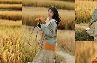 ���շ������������ô�ģ�ץ��д�Ͷ��ˣ�������