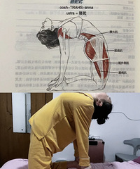 姐妹们!这几个动作对于圆肩驼背的人,真能把背掰直!快练起来