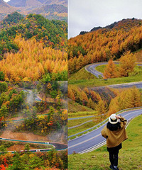 ���پ���������ɽǧ������������