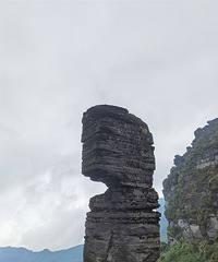 ������й���ɽ���Ӿ�ʢ��ֵ�ö�ˢ��������