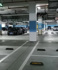 ������������̳�ͣ����·�Ҳ������������Ҳ�������Ů�ѱ���