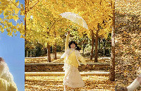 �������������Ӽ�ֱ���ˣ���Χ������