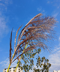 30+����һ�����Ƕ�����ô����Ϣ�յģ����Ѽ��������������