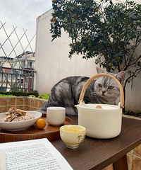 ���ڵ������ˣ��ƻ����ǿյģ����ҵ�һ����������