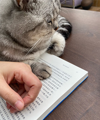 ���ڵ������ˣ��ƻ����ǿյģ����ҵ�һ����������