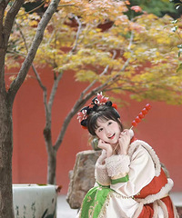 Ҷͺǽ̫Ƭˣһ봩Խͬ򿨵