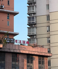 ��֪��ʲô�Ƿ�������