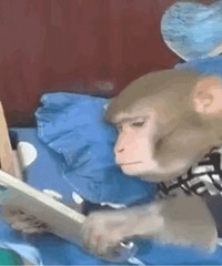 ������ֵ����ޱŵ���滺��ʪ˪44���Ա���װ������20Ƭ29