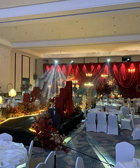 ������ʽ�ĺ�ɫ����ͬ��ϲ����������Ӱ����Ư��