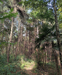 ��¼�ҵĵ�һ��ͽ�����������⣬����ͽ���Ŀ���