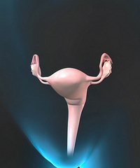 ������ҽ���Ƽ����������õ�6���ѳ��ճ���������