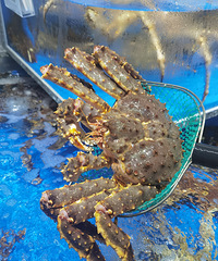 �ϱ�·������̽������з699�����ﵥ���಻��