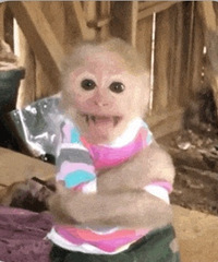 ������ֵ����è����ʿ����5˫13����ľ֮Դ����ˮ2ƿ128