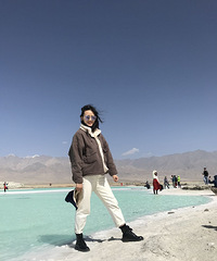 85���к��ӵĵ����������飬�з��г��������ȶ�