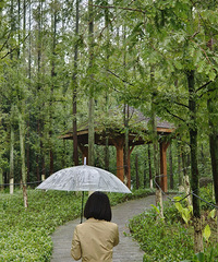 ������̣�����Բ��