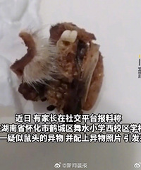 通报食堂疑似鼠头异物调查情况