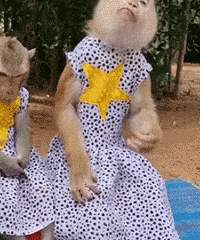 ������ֵ����ޱŵ����Ĥ12Ƭ69��������ʿ�������п�68