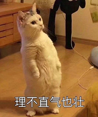̫��Ц�ˣ������ϴ�����ϴ�»���������