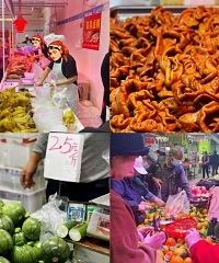 �������˵������ϳ���Ŀ�����