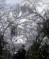 90178CMҽҩҵĸ飬ϣԷС