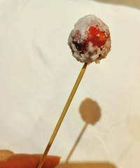 ����Ķ��������������ʳ�嵥���ұ�������ɽ���