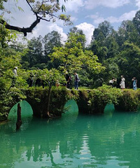 �Լ��󲨣���ɫȷʵ�����ˣ����ص��������е�ʧ������������