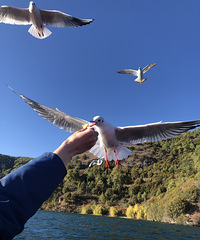 92178CMĹԱ飬ϣԷ89