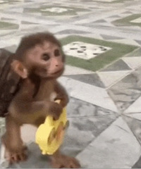 ������ֵ���򡿴�����ͯ����29.9������ӡ��Ӻ����п�58