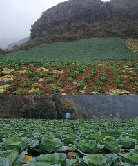 ͽ컨¹ƺҪ˸֣̲ƺ˵أ