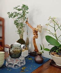 ��������ʱ�⣺����ϰ��