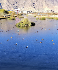 ĩõʱˢӸС࣬ȻСϷ