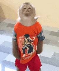 ������ֵ���򡿼��ƴ��ص汣ů����39��������ܿ���30��19