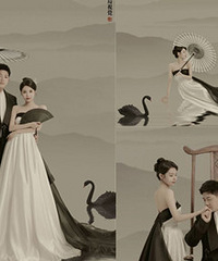 ������ĳ�ˮī���о����⾳����